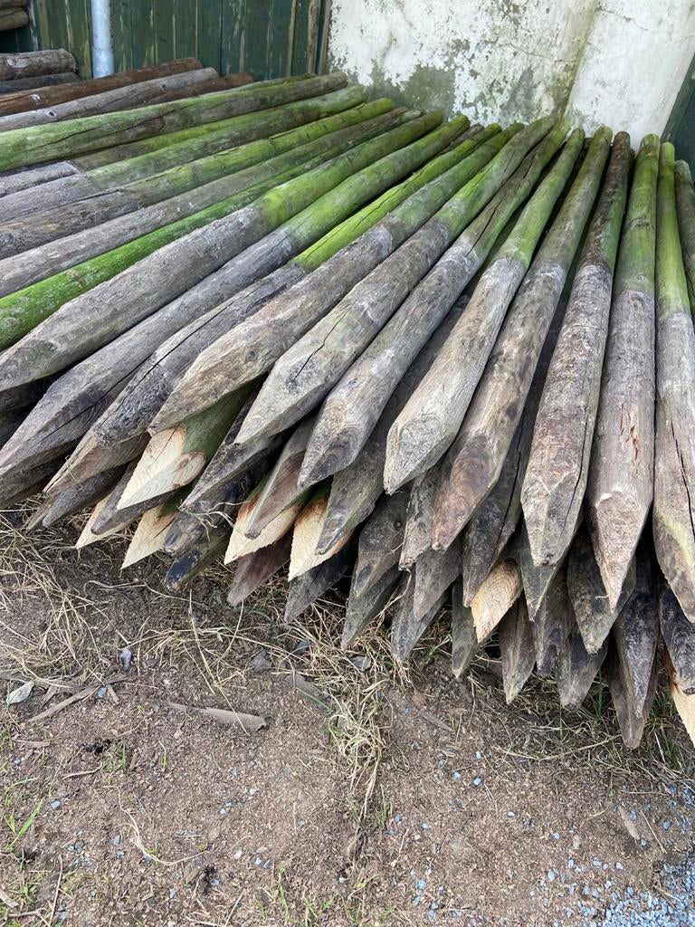 Weidepalen 200cm lang, 6-7cm dik, Ophalen, Zo goed als nieuw, 180 tot 250 cm, Palen