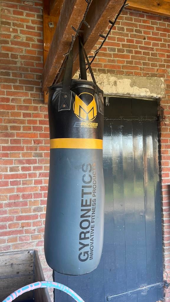 Boksbal met bokshandschoenen, Ophalen, Gebruikt, Boksbal