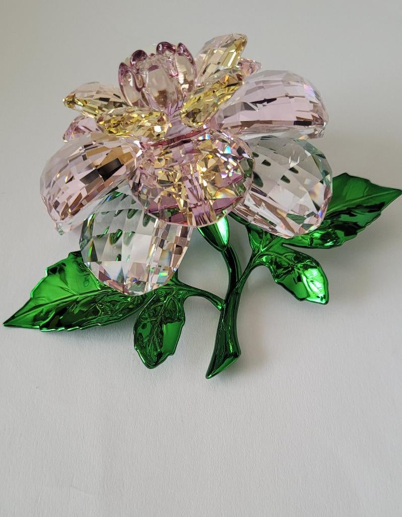 Swarovski 2026 Florere Camelia Bloem. Kristallijn Shop, Verzamelen, Swarovski@.com, Wattens, Nieuw, Ophalen of Verzenden