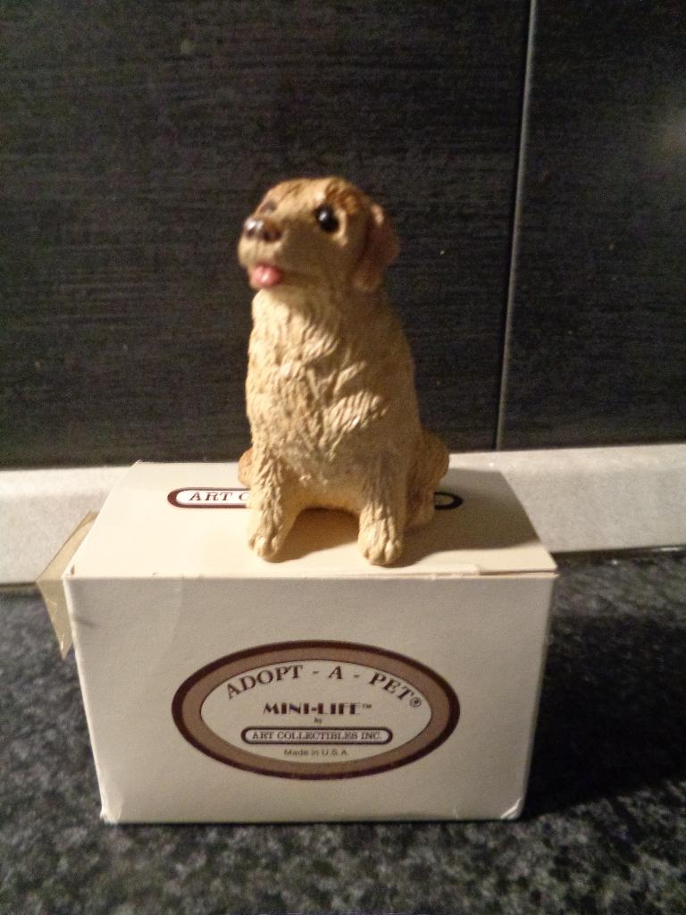 golden retriever in doos, Ophalen of Verzenden, Nieuw, Hond of Kat, Beeldje of Figuurtje