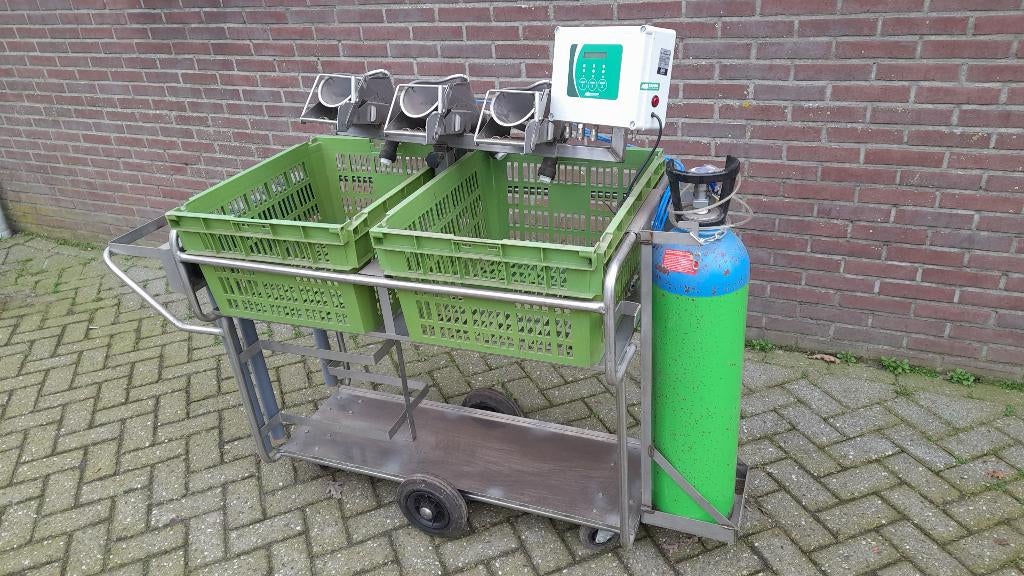 Biggenbehandelwagen, Dieren en Toebehoren, Mannelijk, Varken