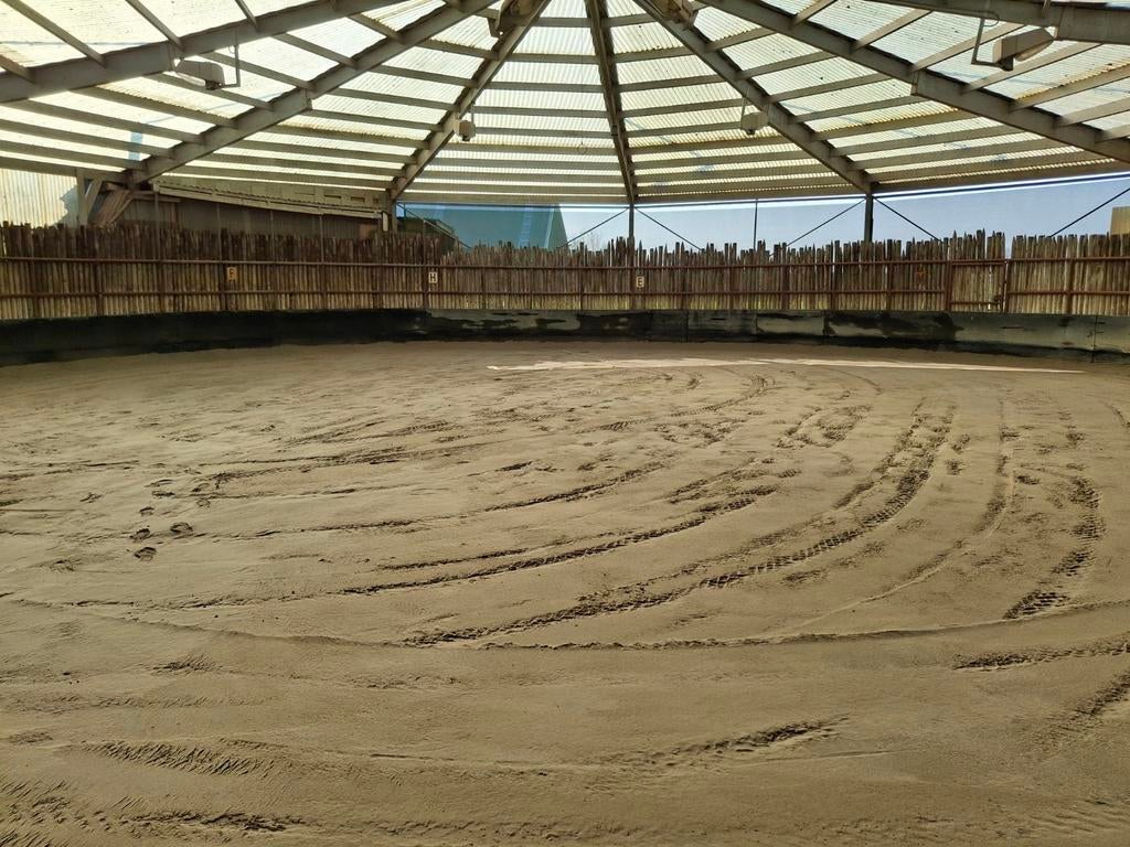 Aangeboden pensionstalling Nieuw Vennep, Stalling, 2 of 3 paarden of pony's