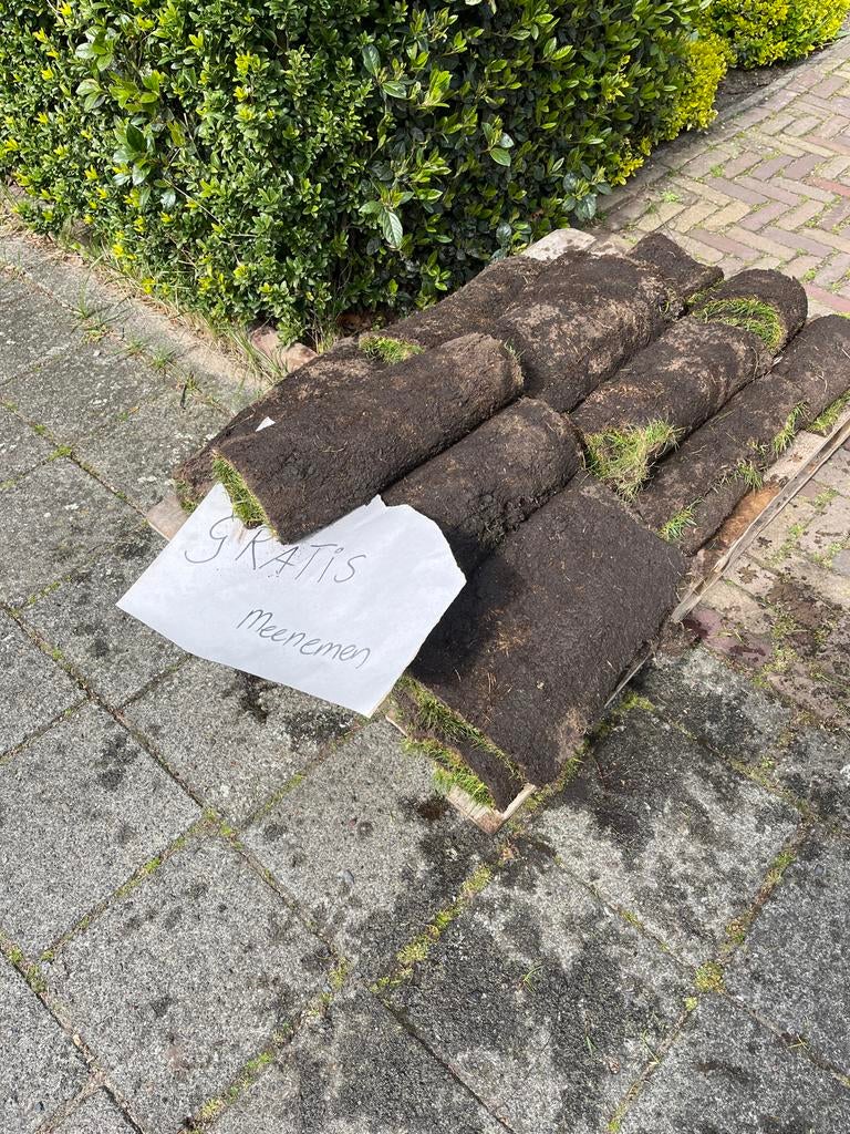 Gratis graszoden af te halen in Heemstede, Tuin en Terras, Gras en Kunstgras, Ophalen, Zo goed als nieuw, Minder dan 10 m², Gras