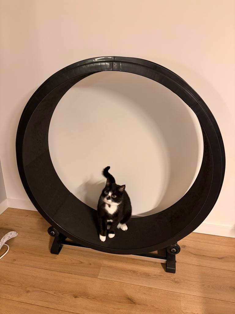 Petlux loopwiel L, Ophalen, Zo goed als nieuw