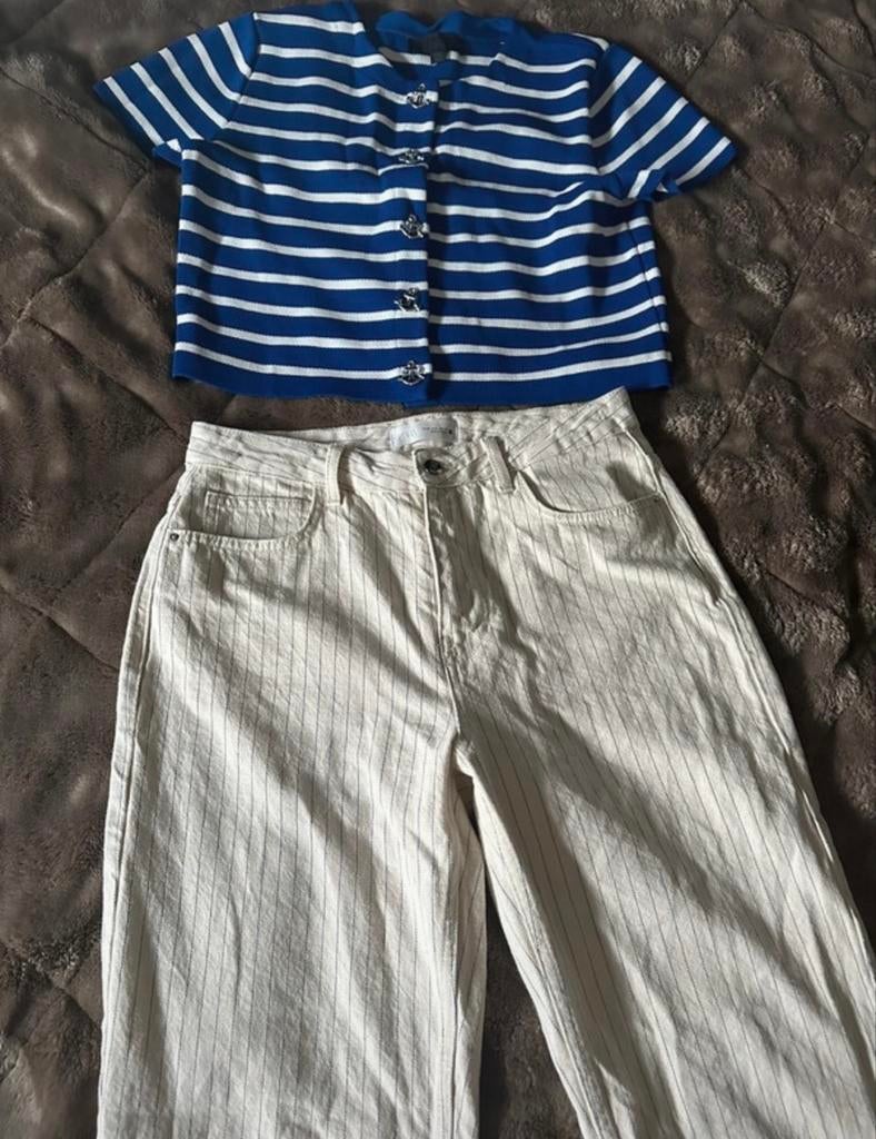 Zara broek en shirt maat L, Blauw, Maat 42/44 (L), Ophalen of Verzenden, Lang