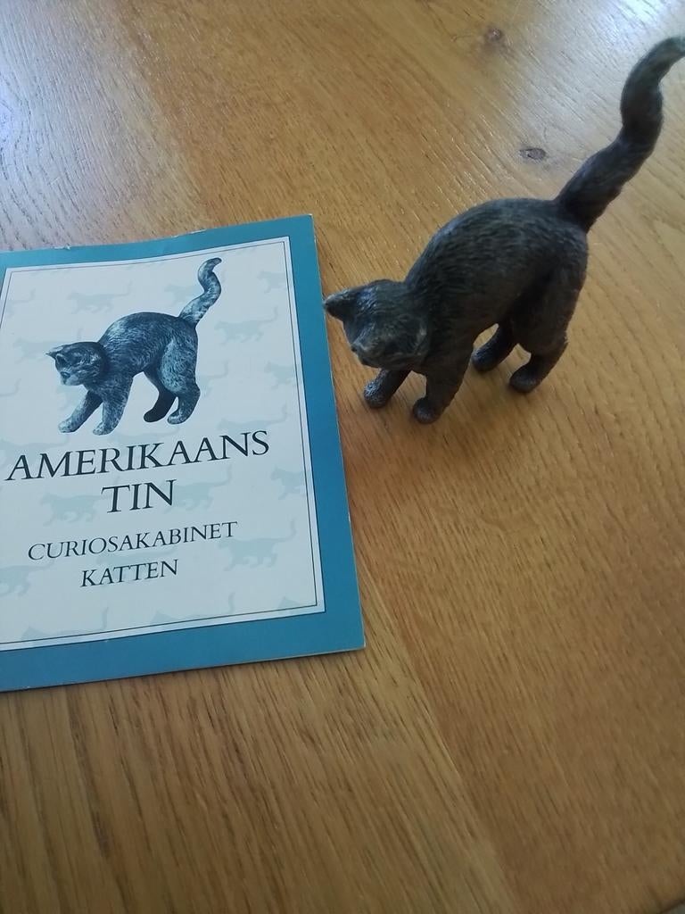 Curiosa kabinet katten Amerikaans Tin, Ophalen of Verzenden, Zo goed als nieuw, Dier