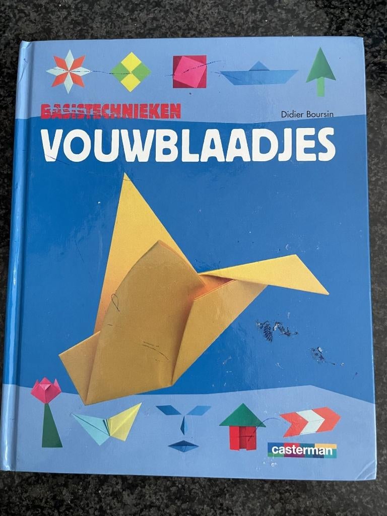 Basistechnieken vouwblaadjes/ didier boursin, Ophalen of Verzenden, Zo goed als nieuw