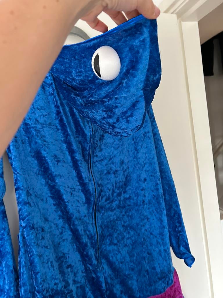 Cookiemonster pak carnaval, Ophalen of Verzenden, Zo goed als nieuw, Maat 38/40 (M), Carnaval