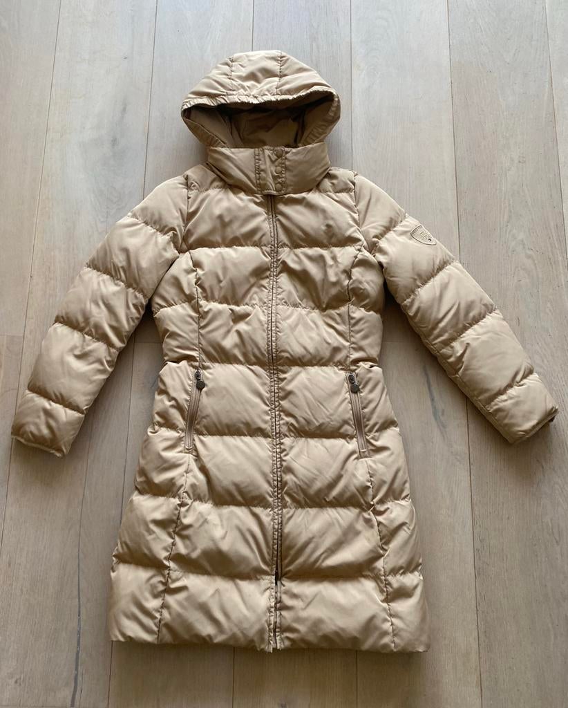 Tommy hilfiger L nieuw dons, Ophalen of Verzenden, Nieuw, Maat 42/44 (L), Beige