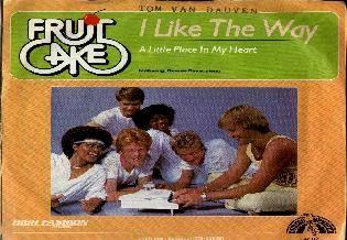Fruitcake - i like the way, Gebruikt, 7 inch, Single, Ophalen of Verzenden