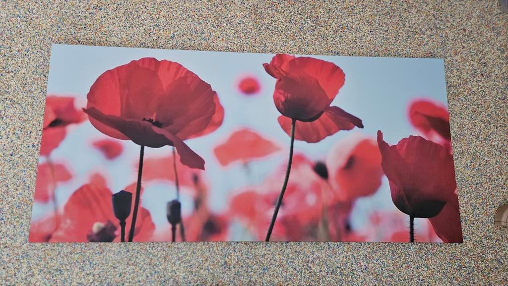 Mooi canvas schilderij ikea pjatteryd. 120x56.5 cm, Huis en Inrichting, Woonaccessoires | Schilderijen, Tekeningen en Foto's, Ophalen