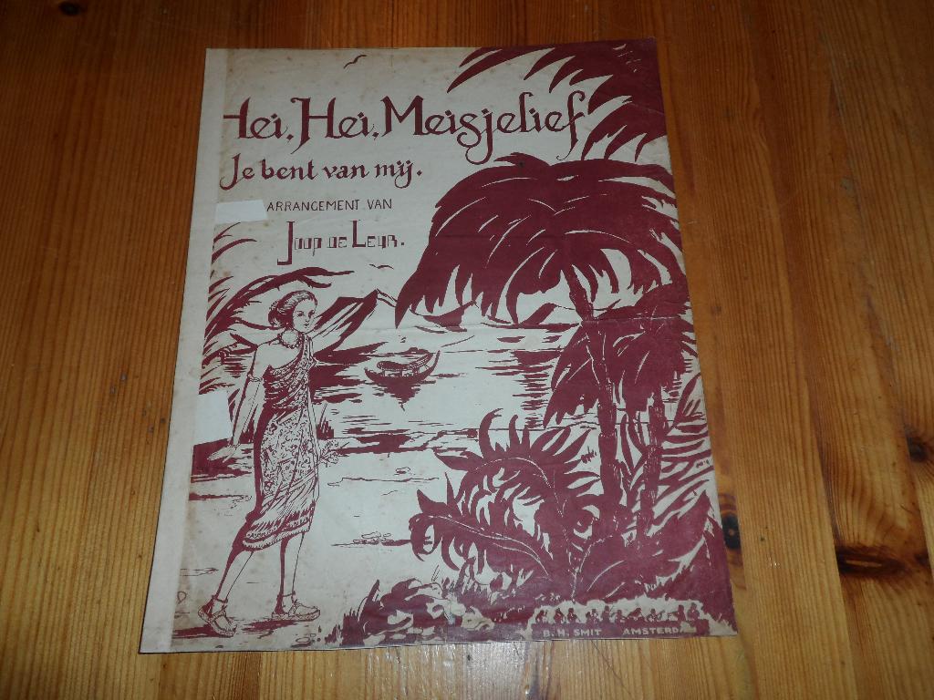 Hei hei meisjelief - joop de leur, Zang, Gebruikt, Ophalen of Verzenden, Artiest of Componist
