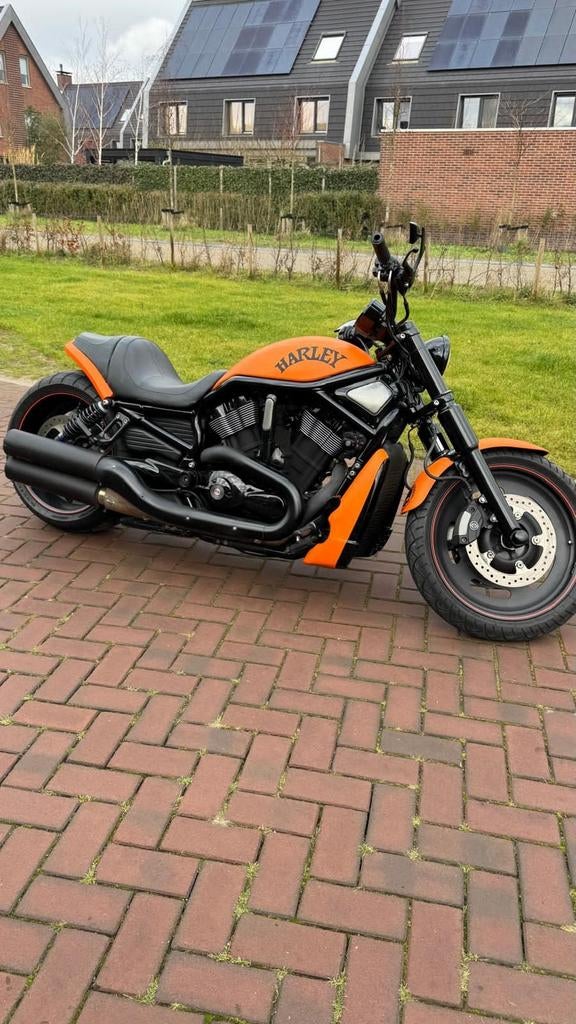 Harley Davidson Night Rod Special VRDXDC Custom 2007, Motoren, Motoren | Harley-Davidson, Particulier