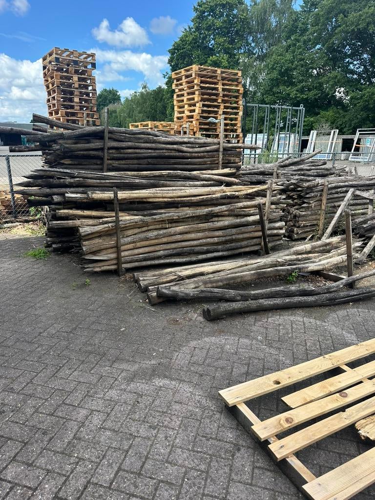 Robinia weidepalen, Ophalen, Palen, Zo goed als nieuw, Hardhout