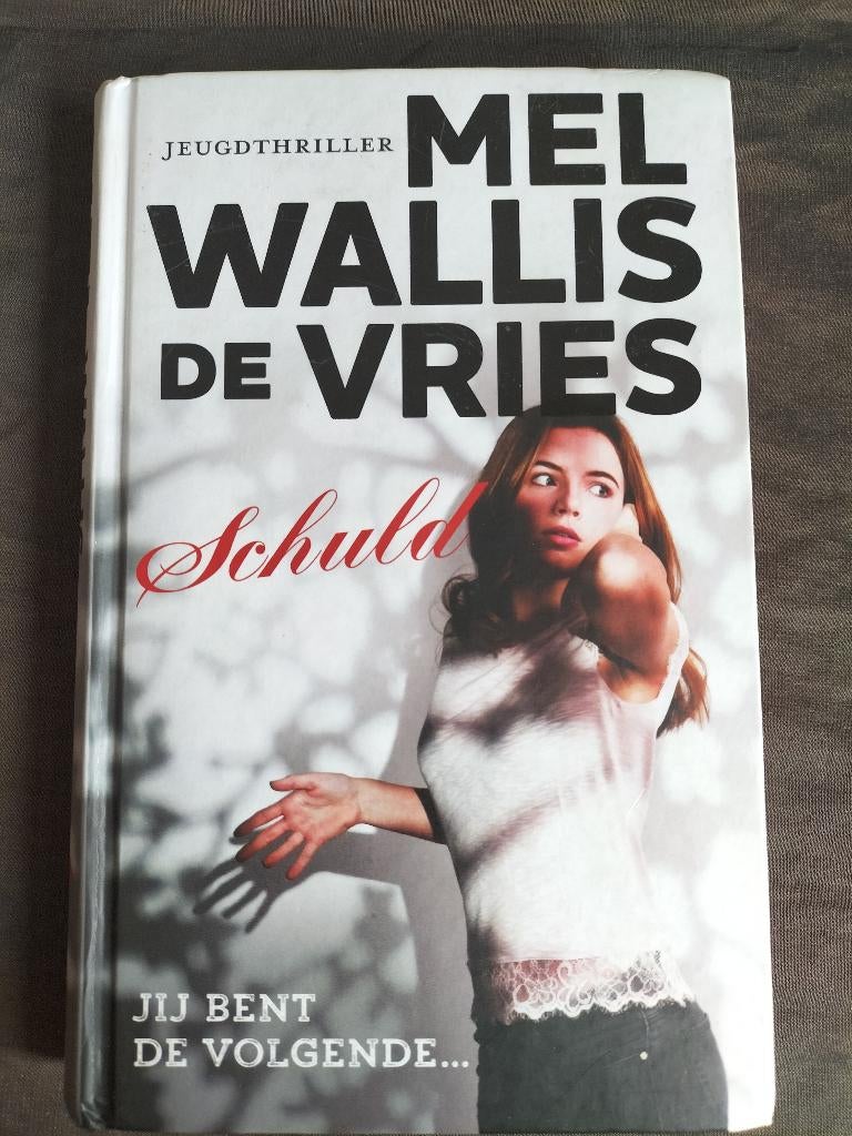 Mel Wallis de Vries - Schuld, Ophalen of Verzenden, Zo goed als nieuw, Mel Wallis de Vries, Fictie
