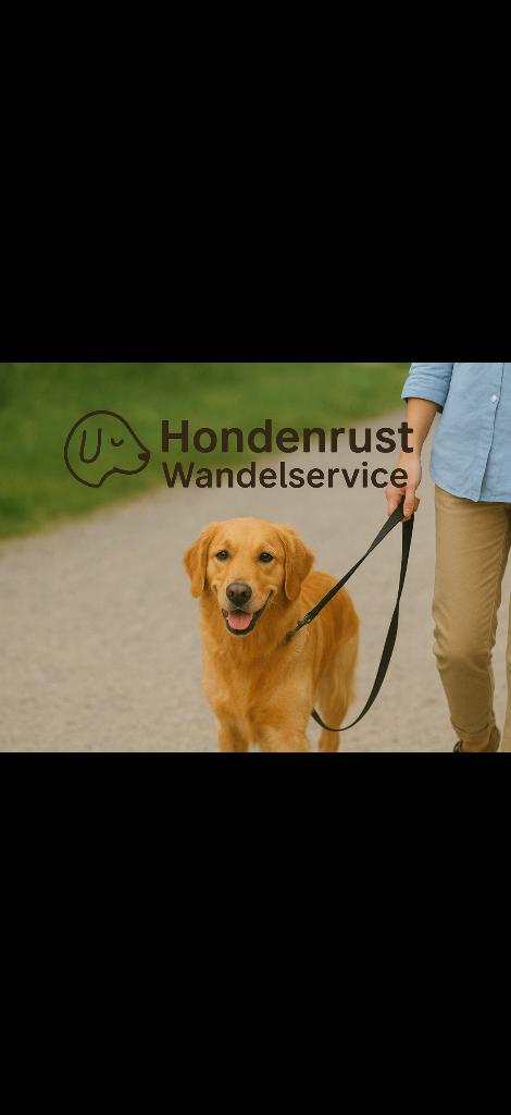 Honden rust wandel service, Diensten en Vakmensen, Dieren | Honden | Verzorging, Oppas en Les, Uitlaatservice