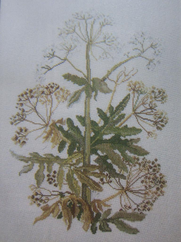 borduur en patroon fluitenkruid GROOT Wilde weide bloemen, Ophalen of Verzenden, Zo goed als nieuw, Handborduren, Patroon