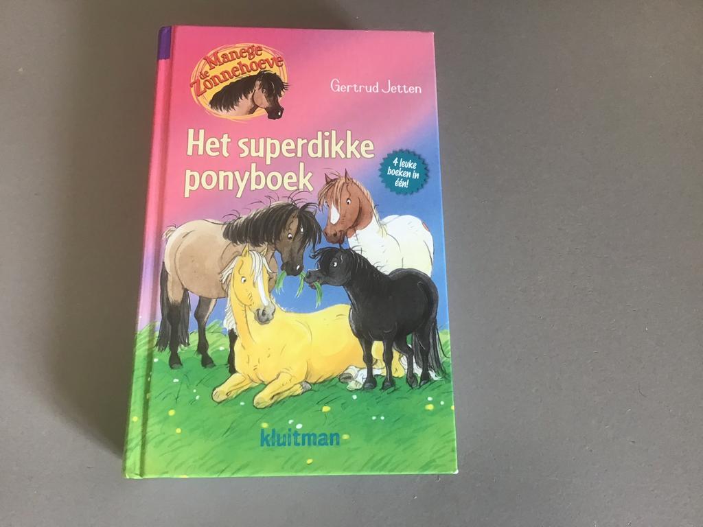 Gertrud Jetten - Het superdikke ponyboek, Boeken, Fictie algemeen, Ophalen of Verzenden, Zo goed als nieuw, Gertrud Jetten