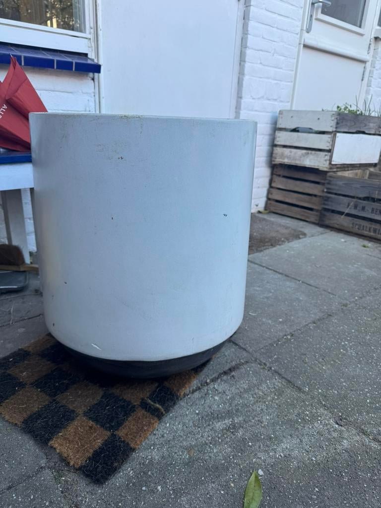 Grote bloempot binnen - met aarde, Ophalen, Steen, Minder dan 60 cm, Rond