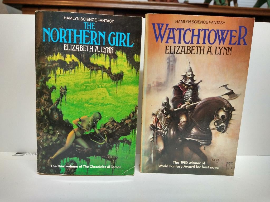 Elizabeth A Lynn - Watchtower / Northern Girl (2 english bk), Verzenden, Gelezen, Elizabeth A Lynn