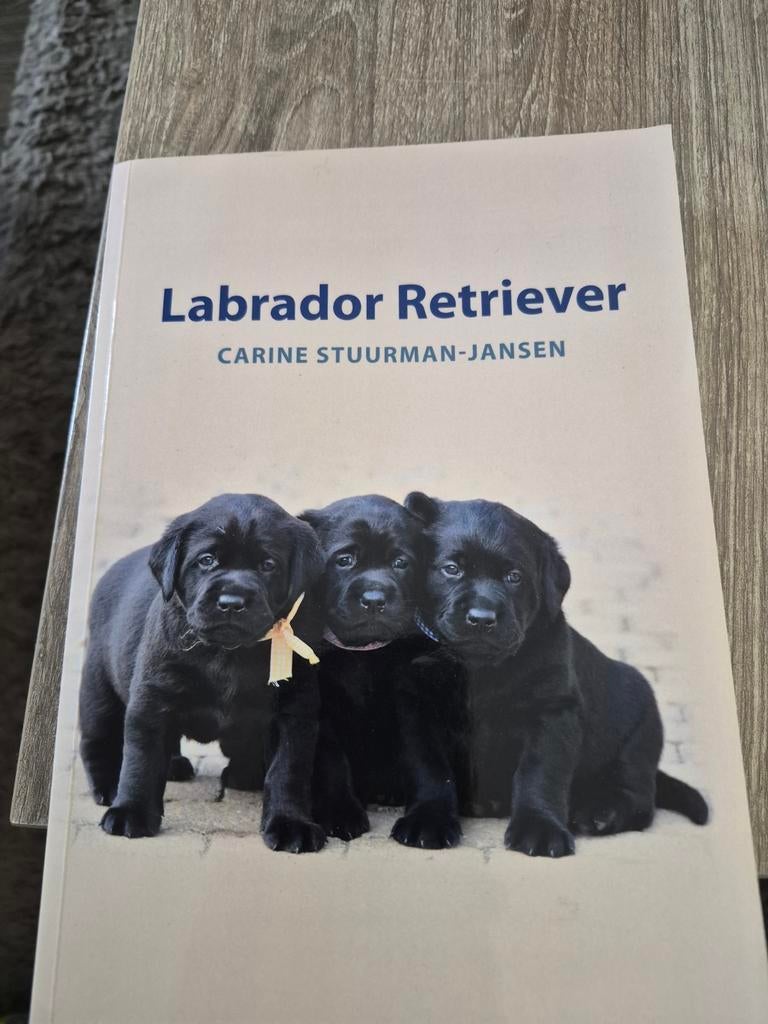 Boek: Labrador Retriever - Carine Stuurman-Jansen, Ophalen