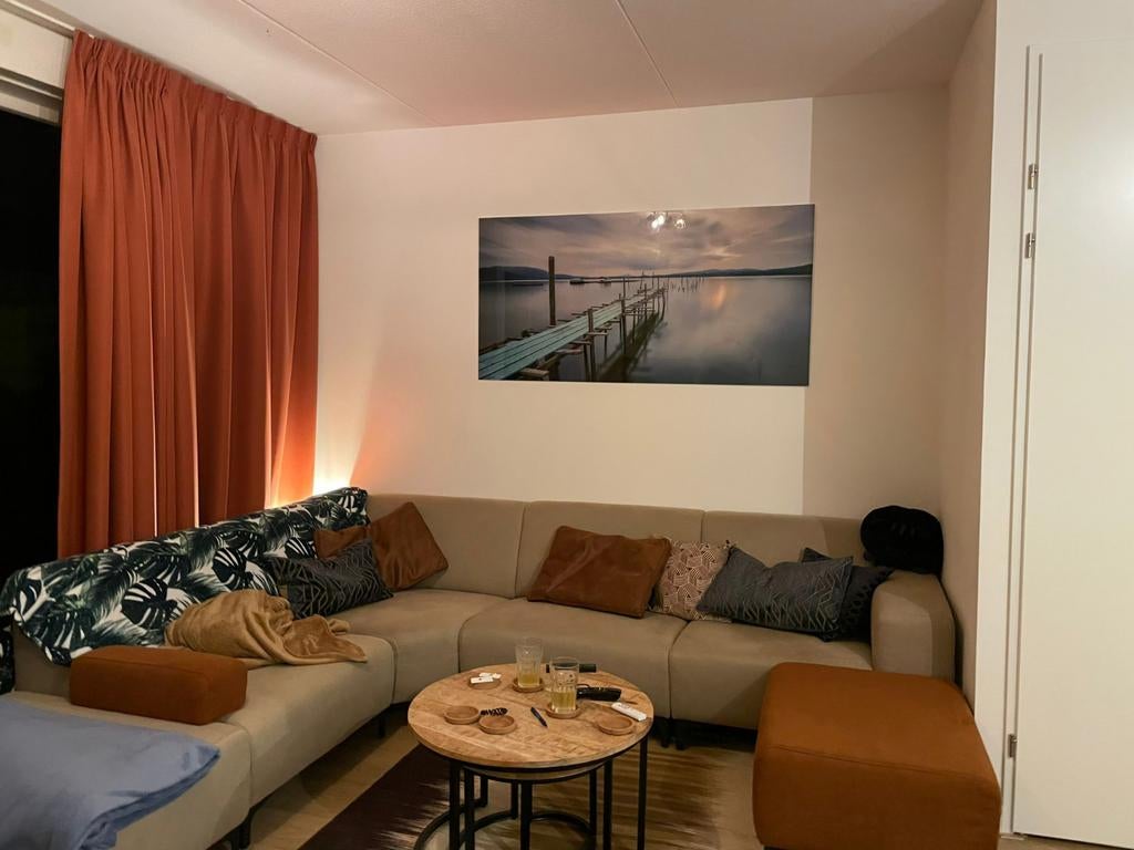 Glazen schilderij 160x80cm, Ophalen, Zo goed als nieuw, Schilderij, 75 cm of meer