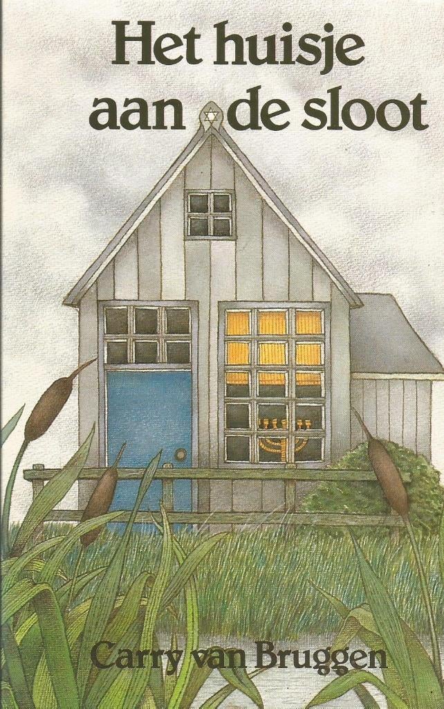 2 boeken van Carry van Bruggen, Boeken, Ophalen of Verzenden, Gelezen, Carry van Bruggen