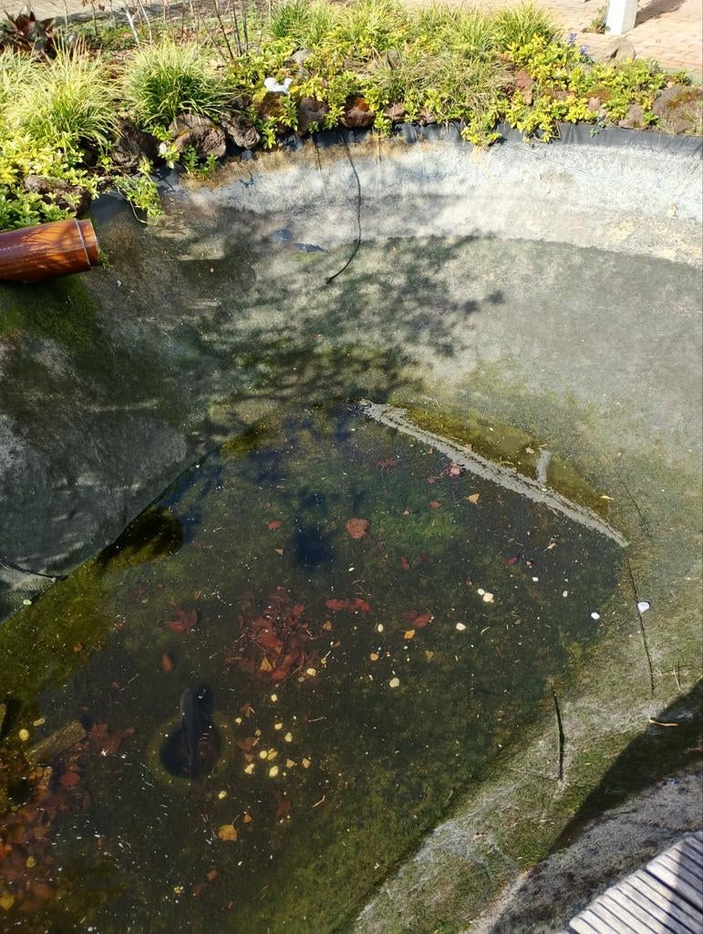 Stevige en lekvrije vijverfolie voor vijver en waterval, Ophalen