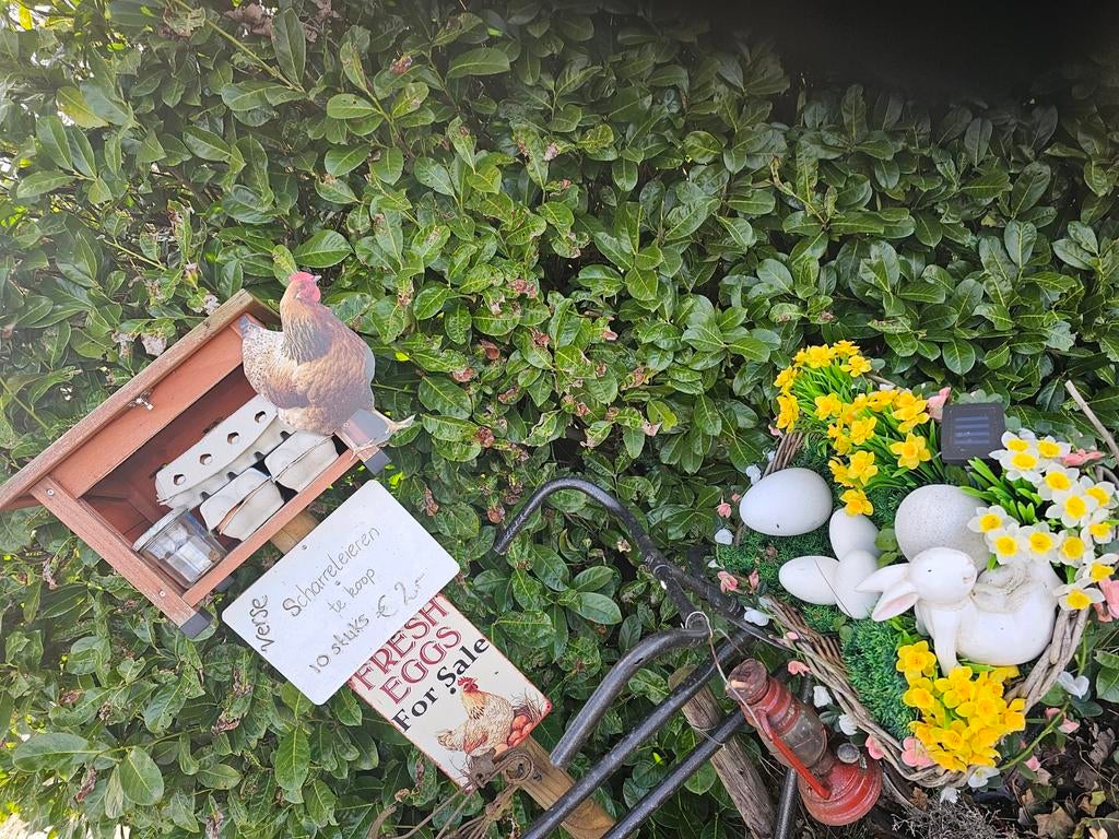 Scharreleieren 10 stuks 2 euro, Ophalen of Verzenden, Overige typen