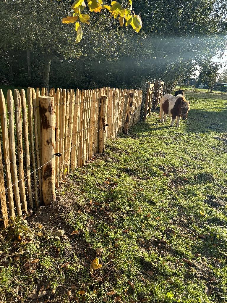 Engels Hekwerk - Kastanje Schapenhek - Engels Schapenhek, Tuin en Terras, Ophalen, Nieuw, Hout, Tuinhek