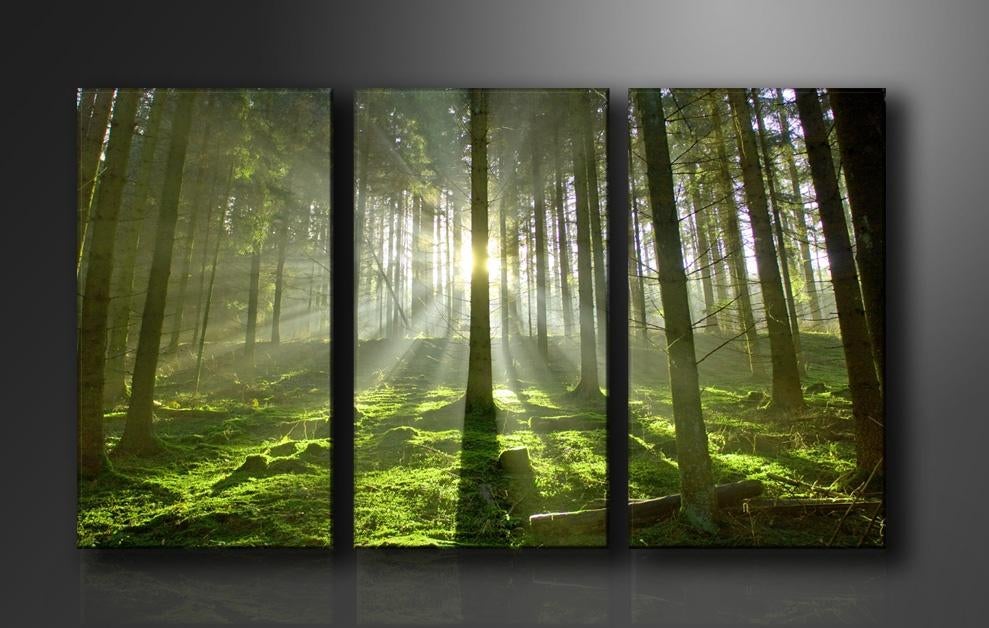 3 Luik van Canvas Schilderij * Green Forest 90x160cm Nieuw, Ophalen of Verzenden