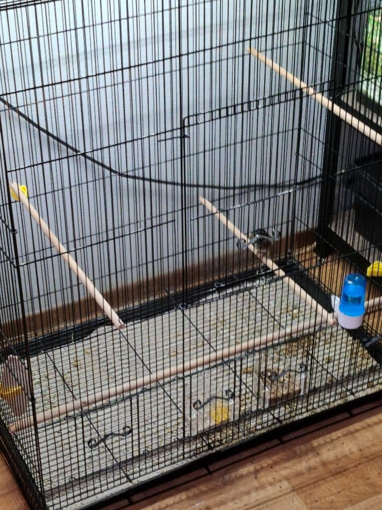 mooie grote vogelkooi, Ophalen, Zo goed als nieuw, Metaal, Vogelkooi