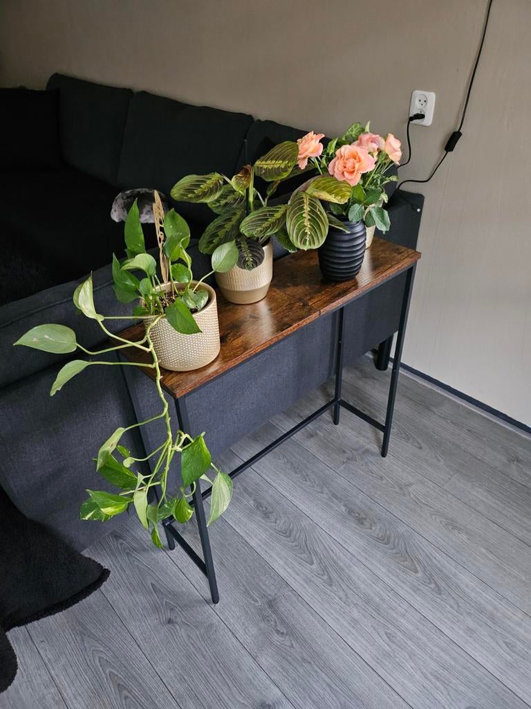 Haltafel/sidetable, Ophalen