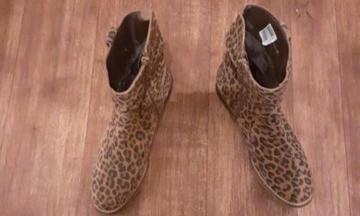 Nieuwe Cellini laarzen .  Maat 37, Kleding | Dames, Schoenen, Ophalen of Verzenden, Nieuw, Zwart, Hoge laarzen