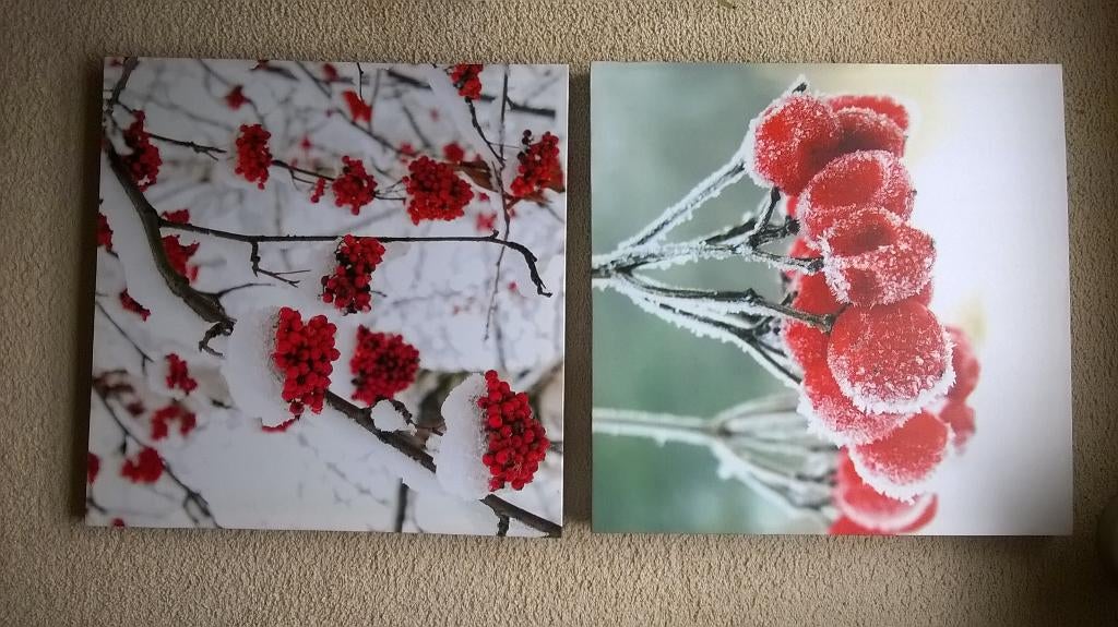 Winterse afbeeldingen op canvas, Ophalen, Minder dan 50 cm, Nieuw, Print