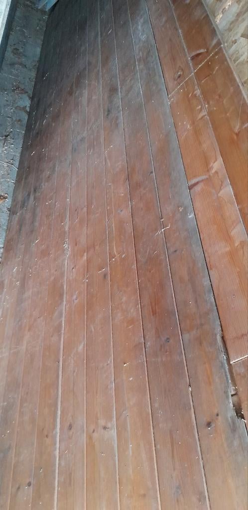 Schoten, 50 tot 150 cm, Ophalen of Verzenden, 10 m² of meer, 10 tot 30 cm