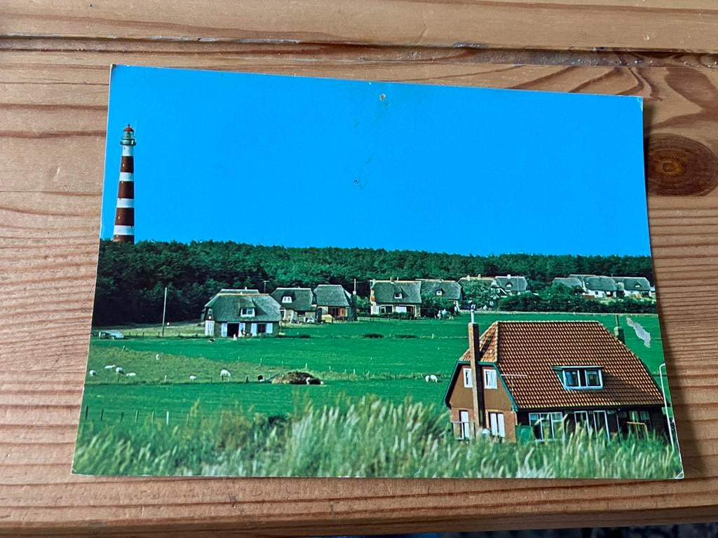 Ansichtkaart Ameland, de bosrand, hollum, Ophalen of Verzenden, Waddeneilanden