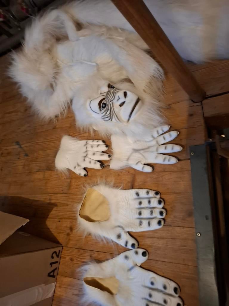 Carnavalskostuum, Ophalen of Verzenden