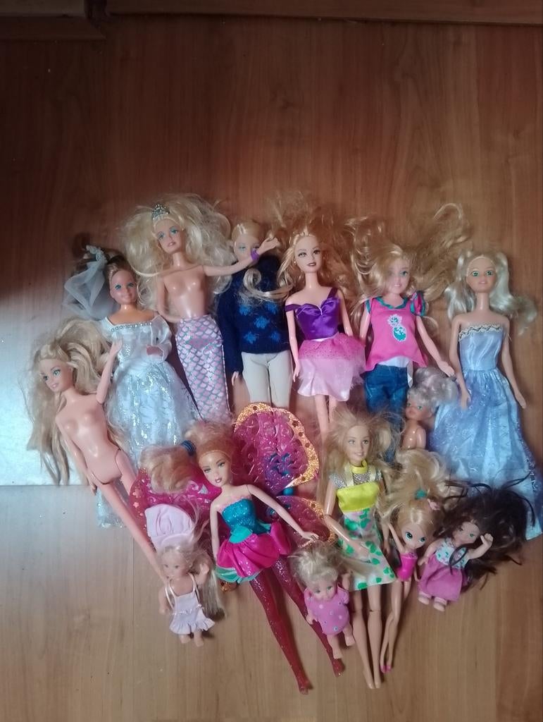 Barbie poppen en spullen te koop, Ophalen, Gebruikt, Barbie