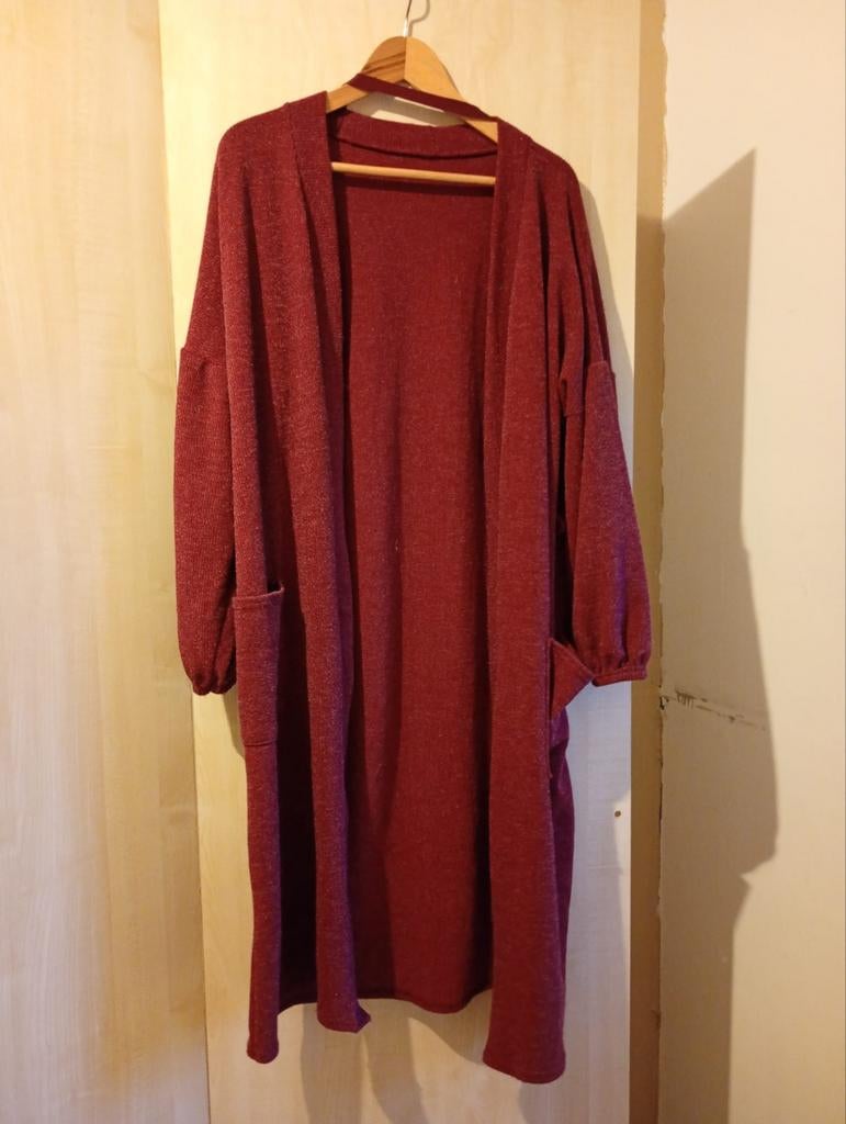 Lang vest, Ophalen of Verzenden, Zo goed als nieuw, Trui of Vest