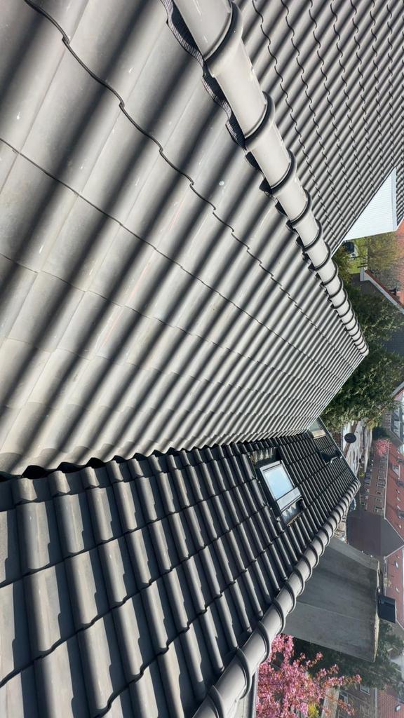 SOS SPOED DAK(LEKKAGE) REPARATIE – SNEL TER PLAATSE!, Diensten en Vakmensen, Dakdekkers en Rietdekkers, 24-uursservice