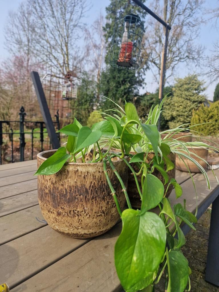 Vintage bloempotten keramiek, Antiek en Kunst, Antiek | Keramiek en Aardewerk, Ophalen of Verzenden