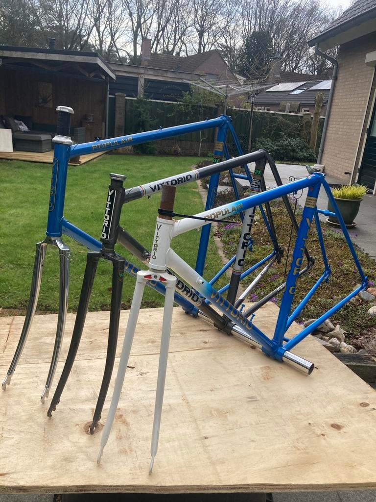 Vittorio stalen frames, Overige merken, Staal, Ophalen of Verzenden, Zo goed als nieuw