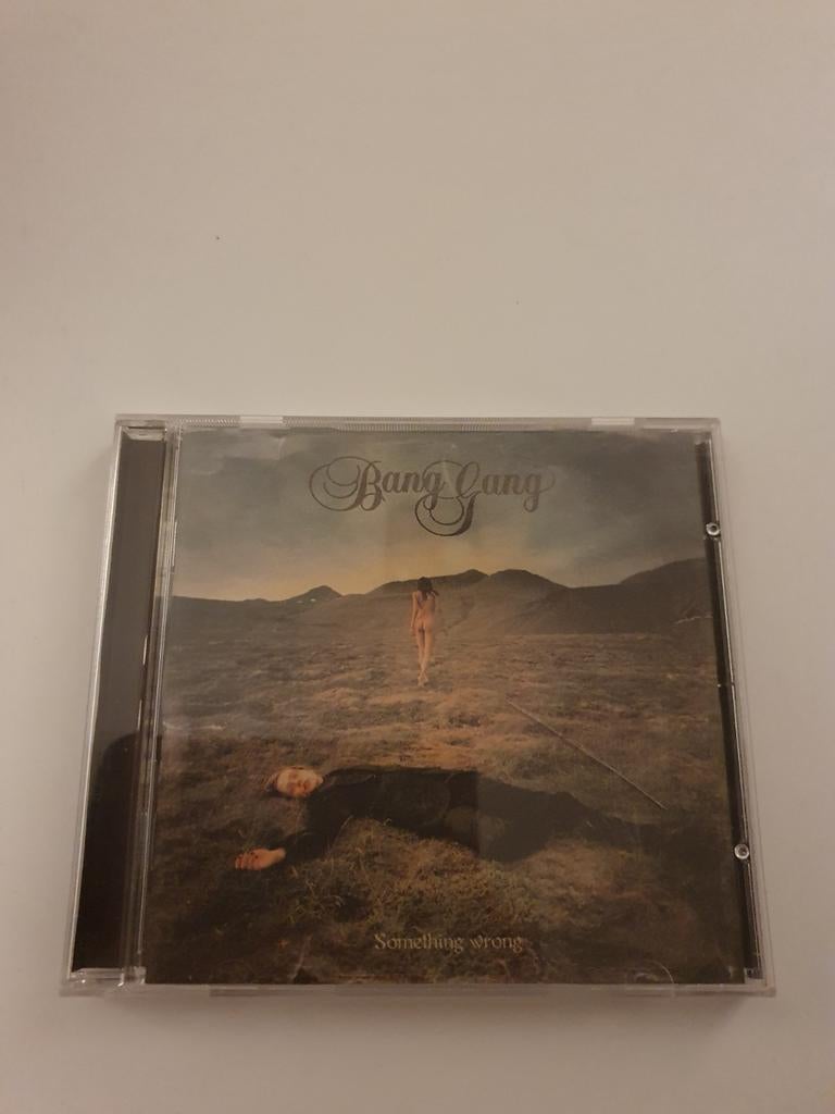 Bang Gang - Something wrong. cd. 2003, Ophalen of Verzenden, Gebruikt