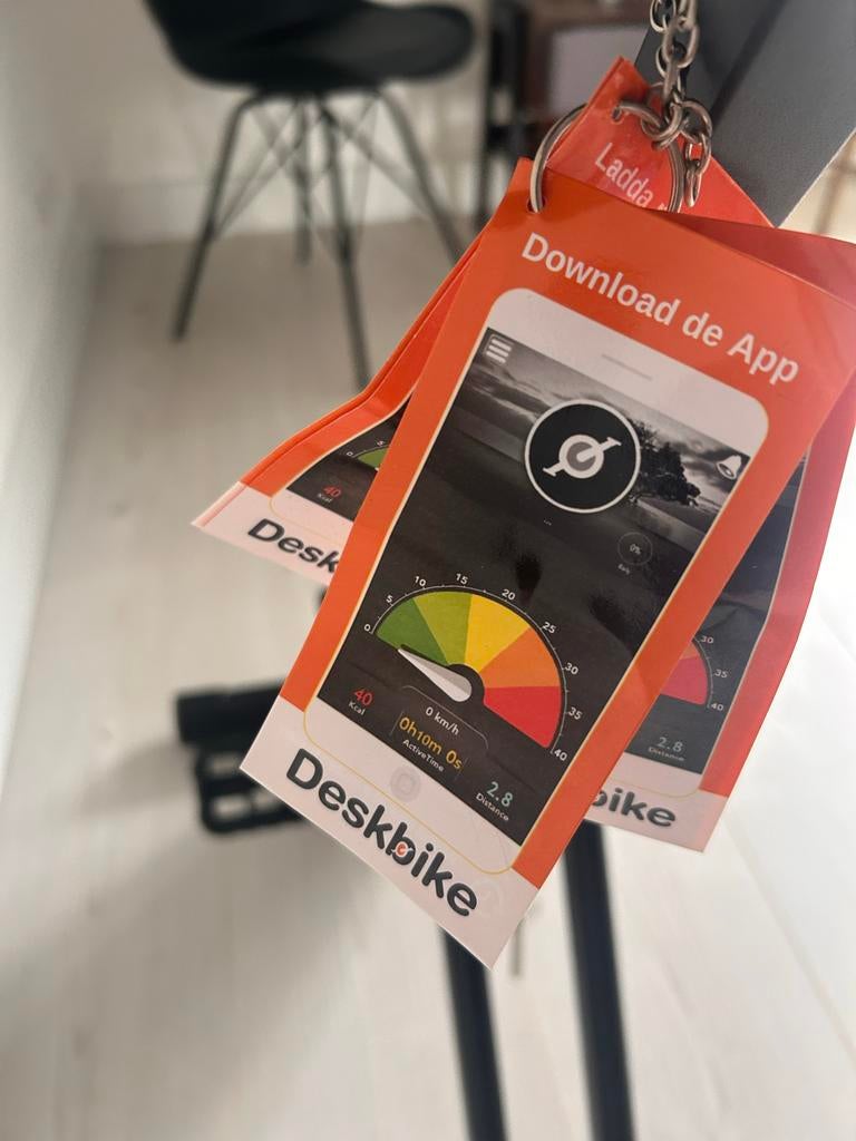 Deskbike original, Ophalen, Gebruikt, Metaal, Benen