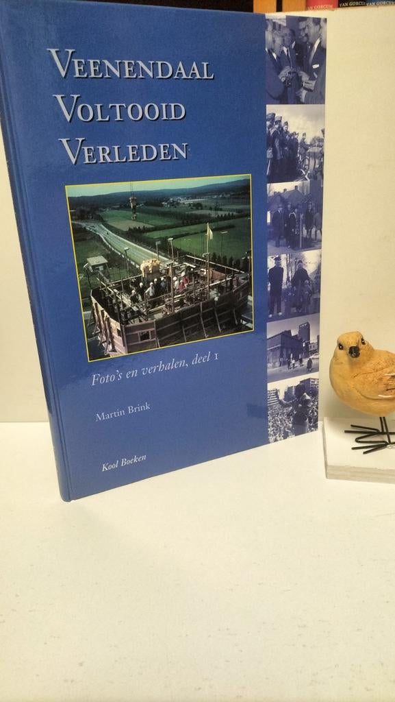 Brink, Martin; Veenendaal Voltooid Verleden deel 1, Ophalen of Verzenden, Gelezen