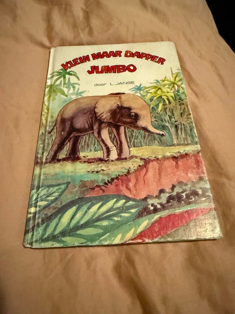 Klein maar Dapper Jumbo, Ophalen of Verzenden, Gelezen, Fictie algemeen