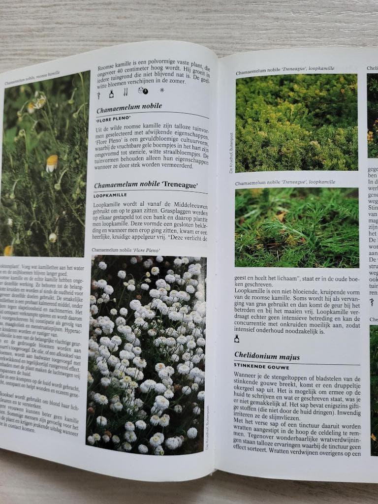 Nico Vermeulen Kruiden encyclopedie, Boeken, Verzenden, Zo goed als nieuw, Kruiden en Alternatief