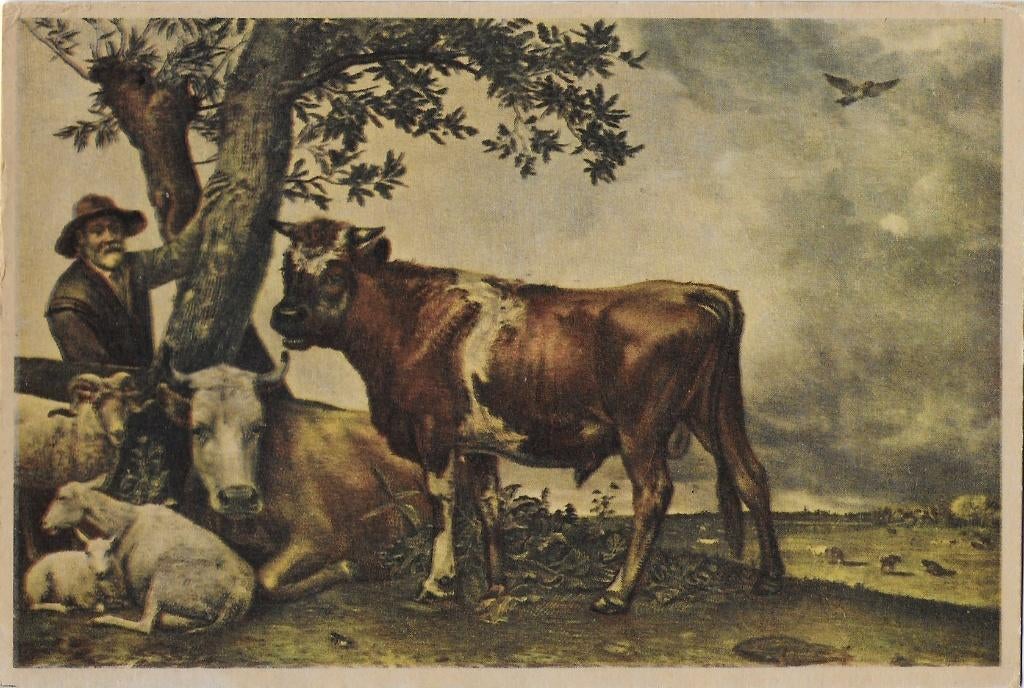Paulus potter de jonge stier ongelopen ansichtkaart (139), Ophalen of Verzenden, 1920 tot 1940, Ongelopen
