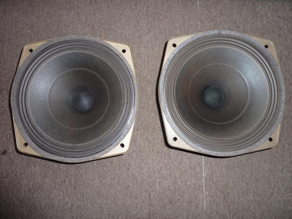 Dynacord vintage luidsprekers, Overige merken, Overige typen, Ophalen of Verzenden, Zo goed als nieuw